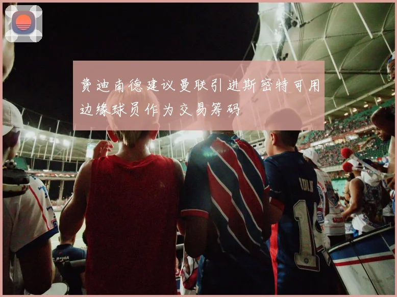 费迪南德建议曼联引进斯密特可用边缘球员作为交易筹码
