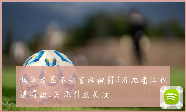 焦海龙因不当言语被罚3万元潘江也遭罚款1万元引发关注