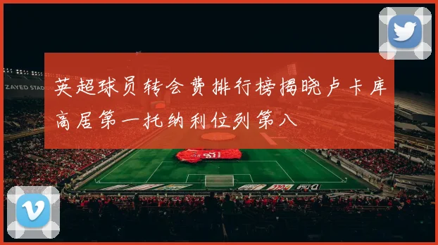 英超球员转会费排行榜揭晓卢卡库高居第一托纳利位列第八