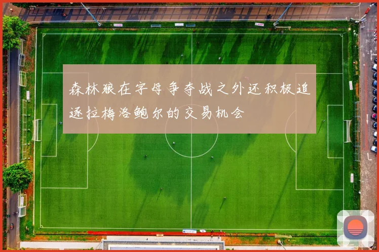 森林狼在字母争夺战之外还积极追逐拉梅洛鲍尔的交易机会
